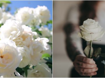 Amintiri din vara viitoare