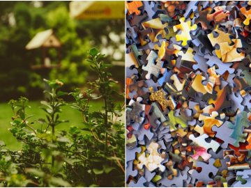 Cum va fi lumea după COVID-19?