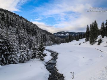 Drumul Răchițele – Doda Pilii pe timp de iarnă