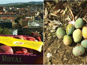 Mango People Cluj