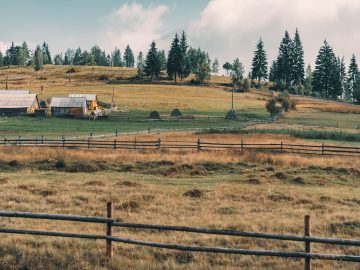 Mereu neschimbat indiferent de curent sau virus