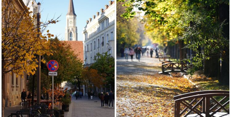 Agenda săptămânii în Cluj: evenimente 10 - 16 noiembrie 2025