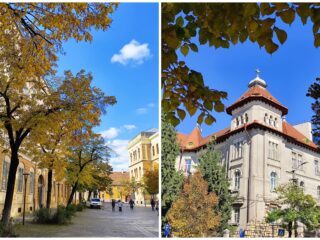 Agenda săptămânii în Cluj: evenimente 17 – 23 noiembrie 2025