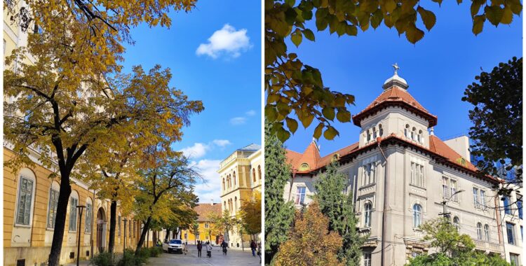 Agenda săptămânii în Cluj: evenimente 17 - 23 noiembrie 2025