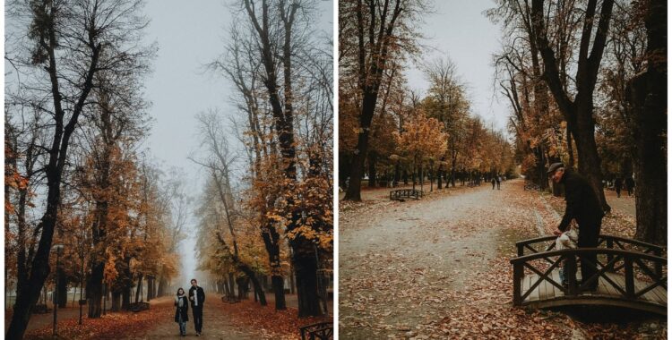 Agenda săptămânii în Cluj: evenimente 24 - 30 noiembrie 2025