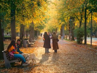 Program de weekend în Cluj: evenimente 24-26 octombrie 2025