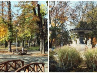 Program de weekend în Cluj: evenimente 7 – 9 noiembrie 2025