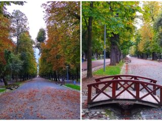 Program de weekend în Cluj: evenimente 10-12 octombrie 2025