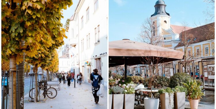 Program de weekend în Cluj: evenimente 14 - 16 noiembrie 2025