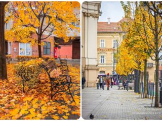Program de weekend în Cluj: evenimente 21 – 23 noiembrie 2025