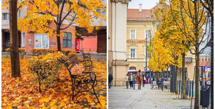 Program de weekend în Cluj: evenimente 21 - 23 noiembrie 2025