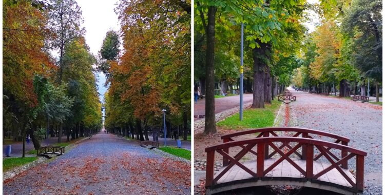 Program de weekend în Cluj: evenimente 10-12 octombrie 2025