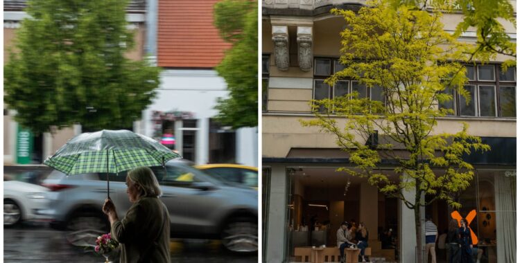 Program de weekend în Cluj: evenimente 22 - 24 mai 2026