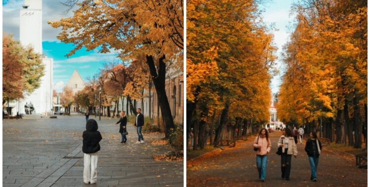 Program de weekend în Cluj: evenimente 31 octombrie - 2 noiembrie 2025