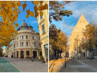 Agenda săptămânii în Cluj: evenimente 20-26 octombrie 2025