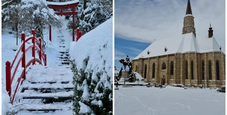 Program de weekend în Cluj: evenimente 16-18 ianuarie 2026