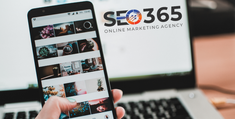 seo cluj