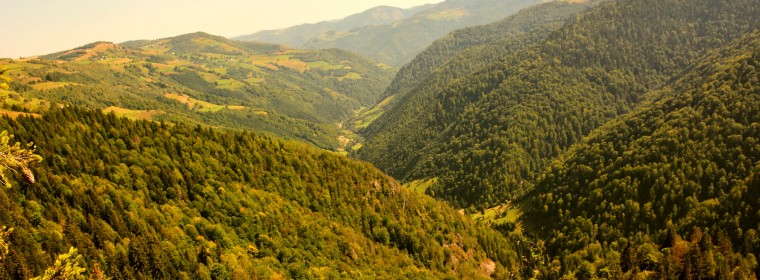 Two Steps Away from Cluj