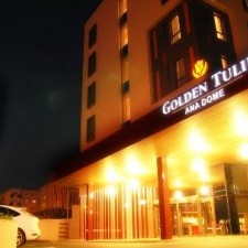 Golden Tulip