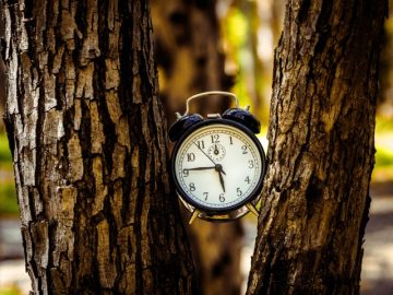 Privesc, trăiesc, sper!