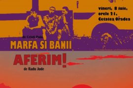 AperiFilm - proiecție și dialoguri, Cetatea din Oradea, Kinopedia