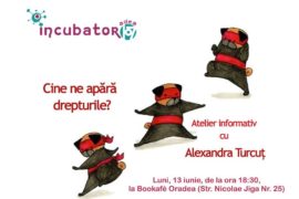 Cine ne apără drepturile? cu Alexandra Turcuț