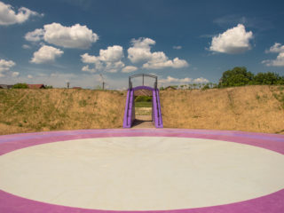 Parcul Salca, Tudor Vâșcan