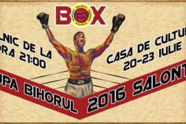 Cupa Bihorul 2016, Salonta