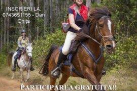 Cupa Il Cavallino, Băile Felix