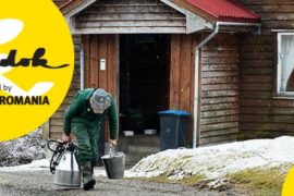 Frați pe vecie, KineDok Oradea