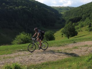 Patrimoniul turistic redescoperit, Bihor