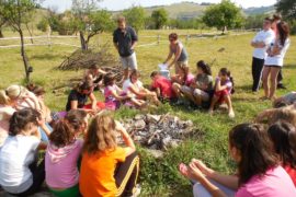 Tabăra Junior Ranger 2016
