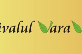 Festivalul Vara Verde, Oradea