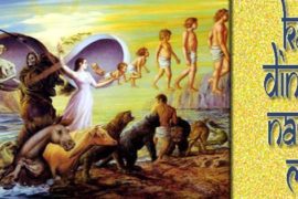 Karma, dincolo de naștere și moarte, Karma și purificarea karmei, Centrul Cultural Hare Krisna Oradea