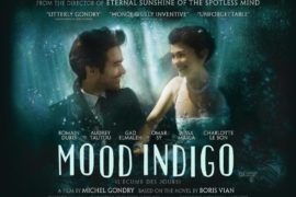 L'écume des jours (2013) - Spuma zilelor, Biblioteca Județeană Gheorghe Șincai