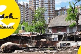 Căminul meu - Proiecție KineDok Oradea