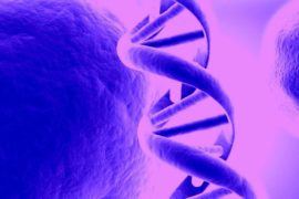 Curs: Cheile Genelor „Secvența Venus"