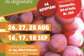 Expoziție de struguri, Sînmartin