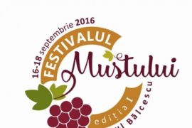În curând: Festivalul Mustului, Parcul N. Bălcescu