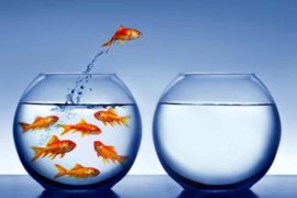 Ce înseamnă eliberarea pentru un devotat?