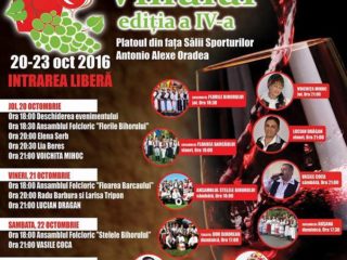 Festivalul Vinului, ediția a IV-a