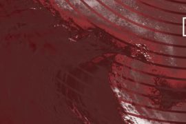 Silent Disco: Albui / Kashlinski / DJ Klaus EB, Moszkva Cafe