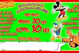 Fantastic Magic Show