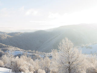 Iarna în Oradea și în Bihor...
