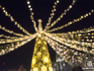 Sunt fotograf și am un nume: Manci Dan Cătălin Traian