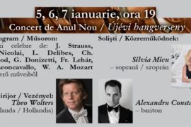 Concert simfonic de Anul Nou