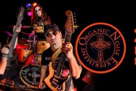 Concert: Organic Noise Experiment - Oradea