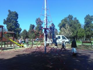 Spații verzi împodobite cu aparate și cățărători - Oradea