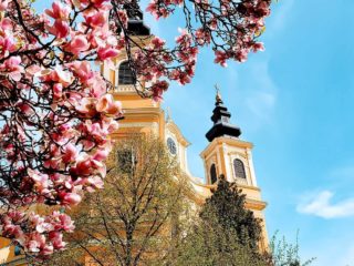 Magnolii Palatul Baroc Oradea - Denisa Pop