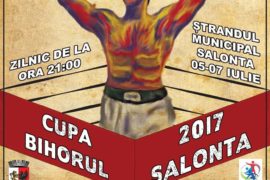 Turneul Internaţional de Box Cupa Bihorul